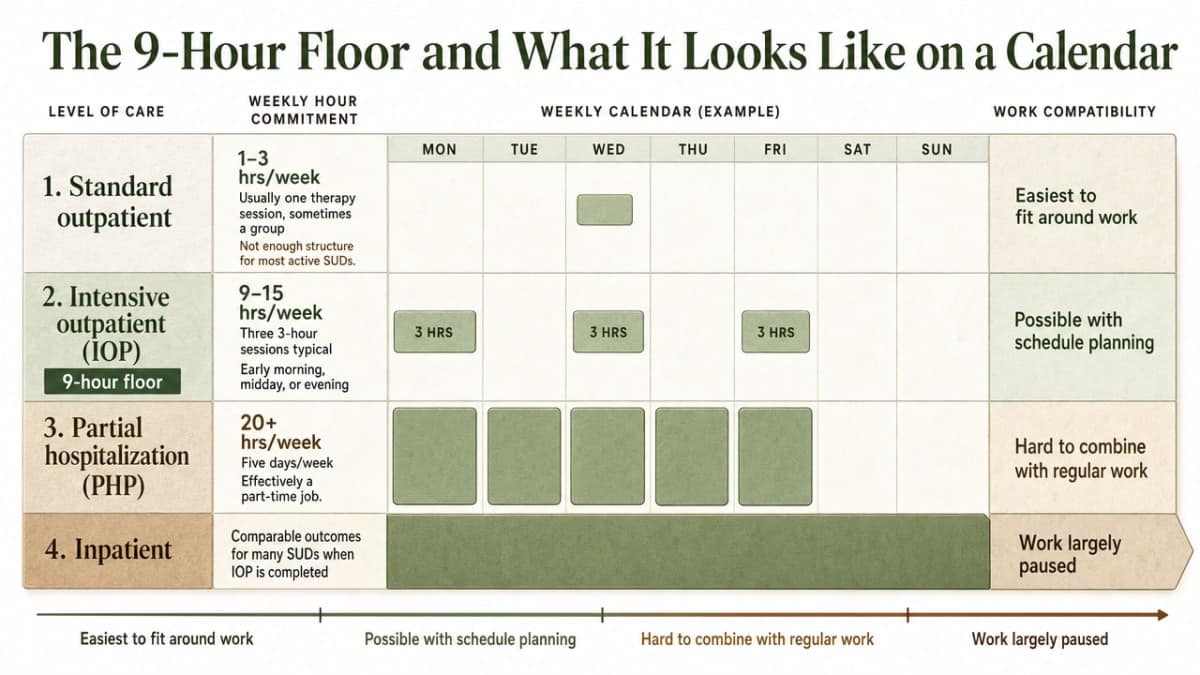 Visualize the four levels of care comparison explicitly listed in this section, showing weekly hour commitment and work compatibility