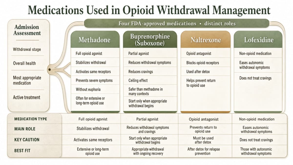 The section explicitly compares four FDA-approved medications with distinct roles. A comparison infographic clarifies the differences described in the prose